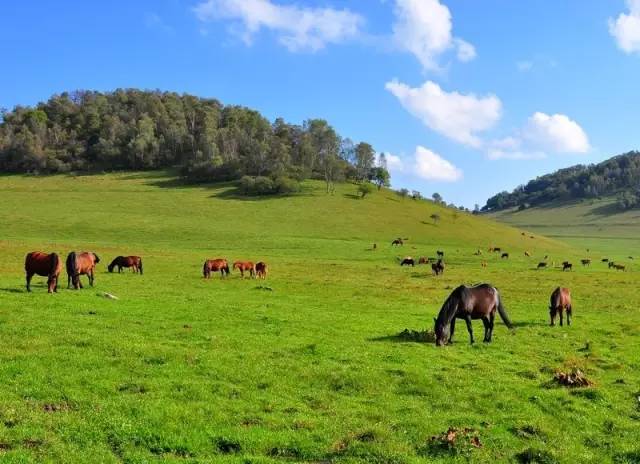 从西宁到西安坐高铁需要多长时间,高铁西安到西宁多长时间