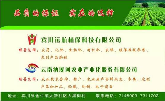 云南美食酸菜红豆猪脚,宾川县酸汤猪脚