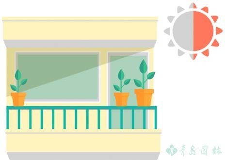 富贵竹怎么养教程,富贵竹万年竹