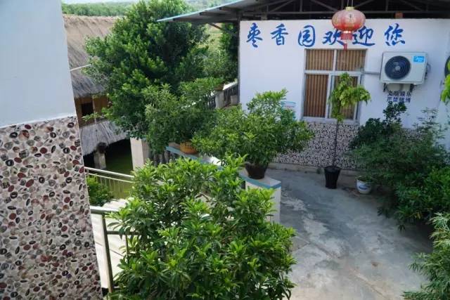 云南美食酸菜红豆猪脚,宾川县酸汤猪脚