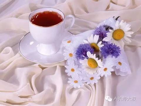 大叔说奶茶,大叔说普洱