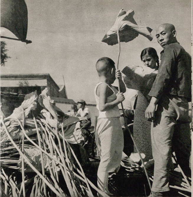 民国，七月十五这么过：莲花灯，莲花灯，今儿个点灯明儿个扔！