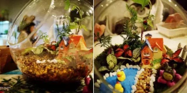 铁板烧撩妹,简易自制铁板烧