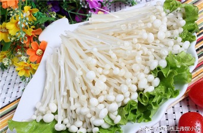 西平美食推荐火锅,西平好吃的麻辣火锅