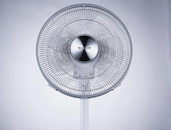 看!这是一颗颜值很高的“科技”之果