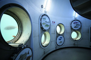 jr大阪一日游,大阪jr旅游攻略