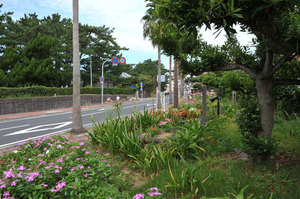 jr大阪一日游,大阪jr旅游攻略