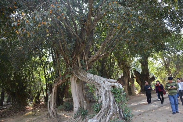 云南人必点的一道菜,云南的一道重口味美食