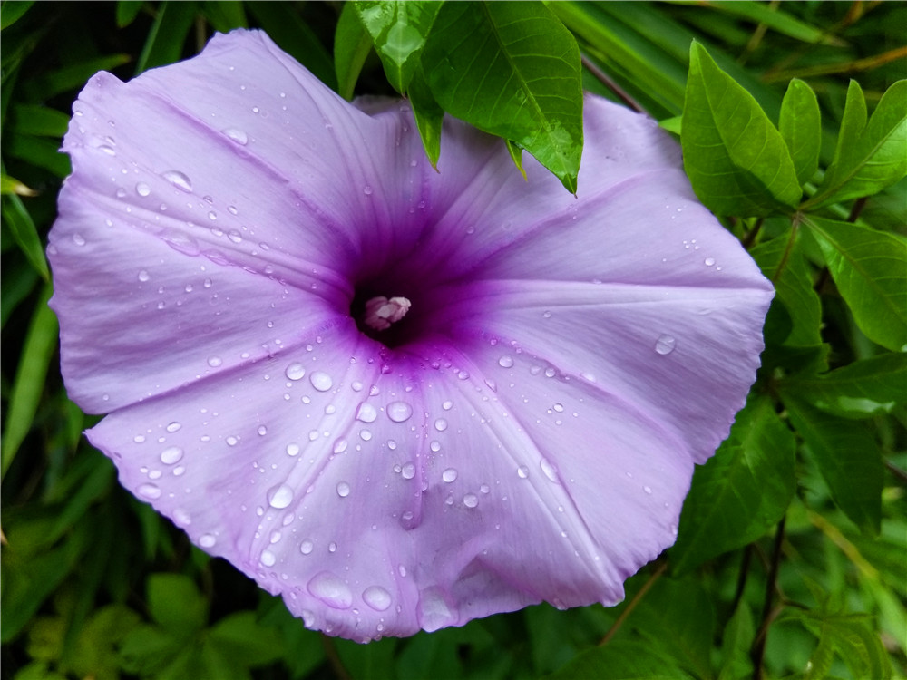 cool1dual有多少软件,cool1dual怎么截图