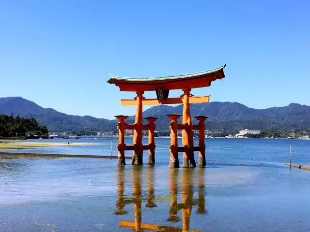 在日本抽到凶签怎么化解,在日本寺庙抽到凶签怎么化解