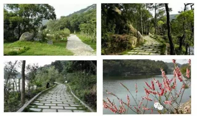 南澳海岛国家森林公园,黄花山------最美天然氧吧