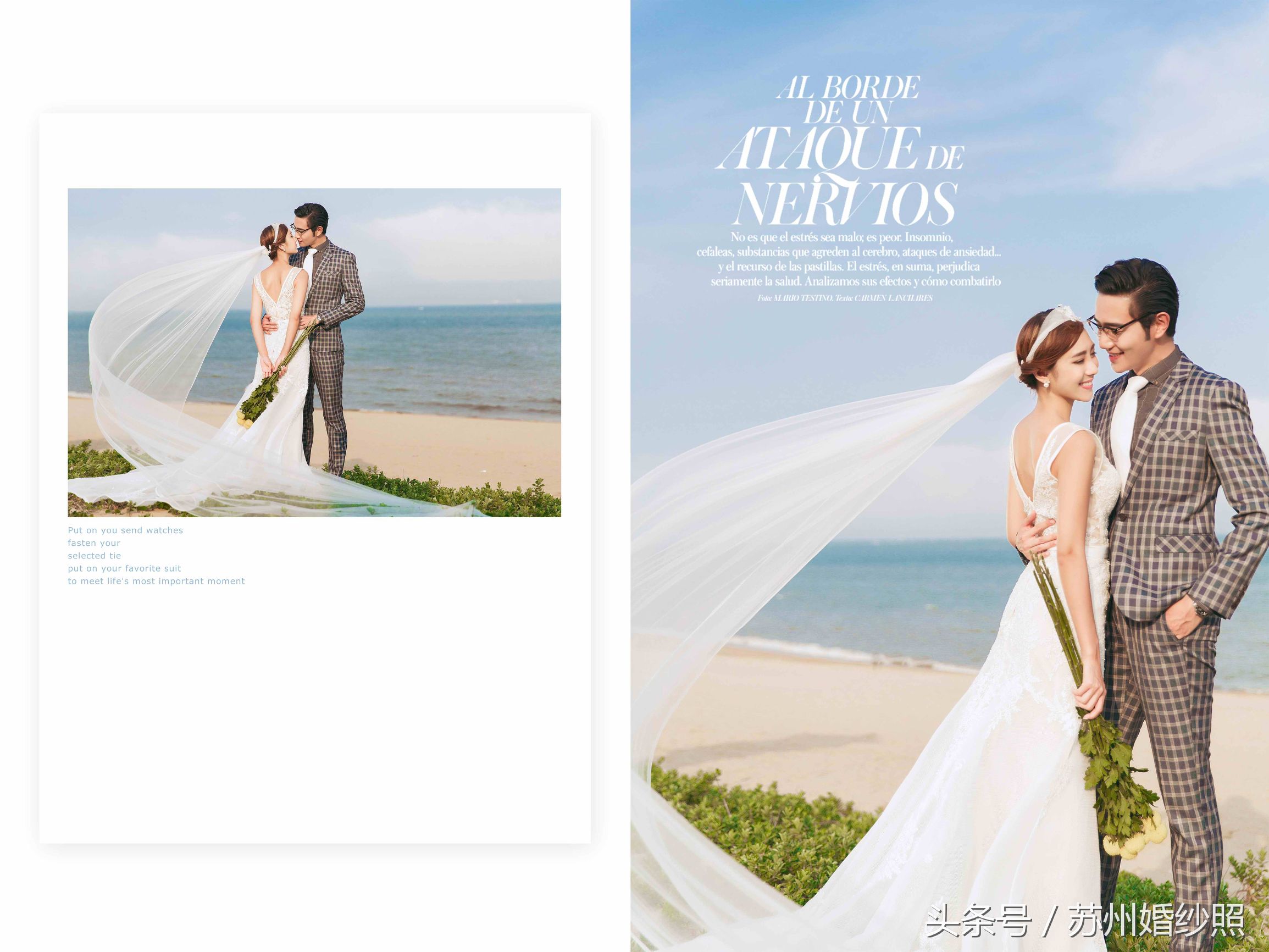 拈一朵落花，执笔写意人生