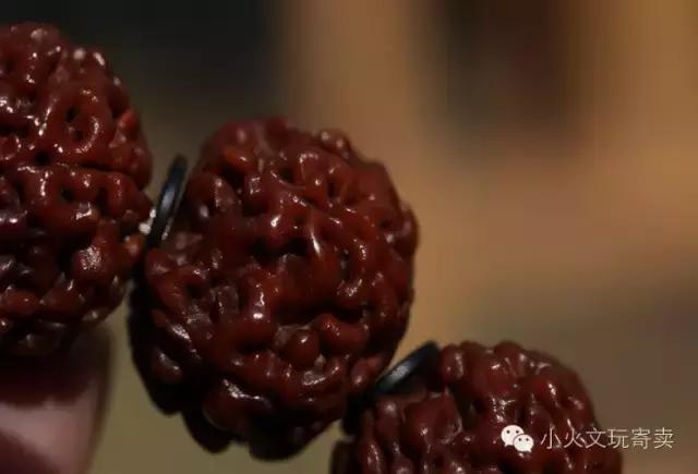 老司机手把手教你做攻略,大金刚平民搭配