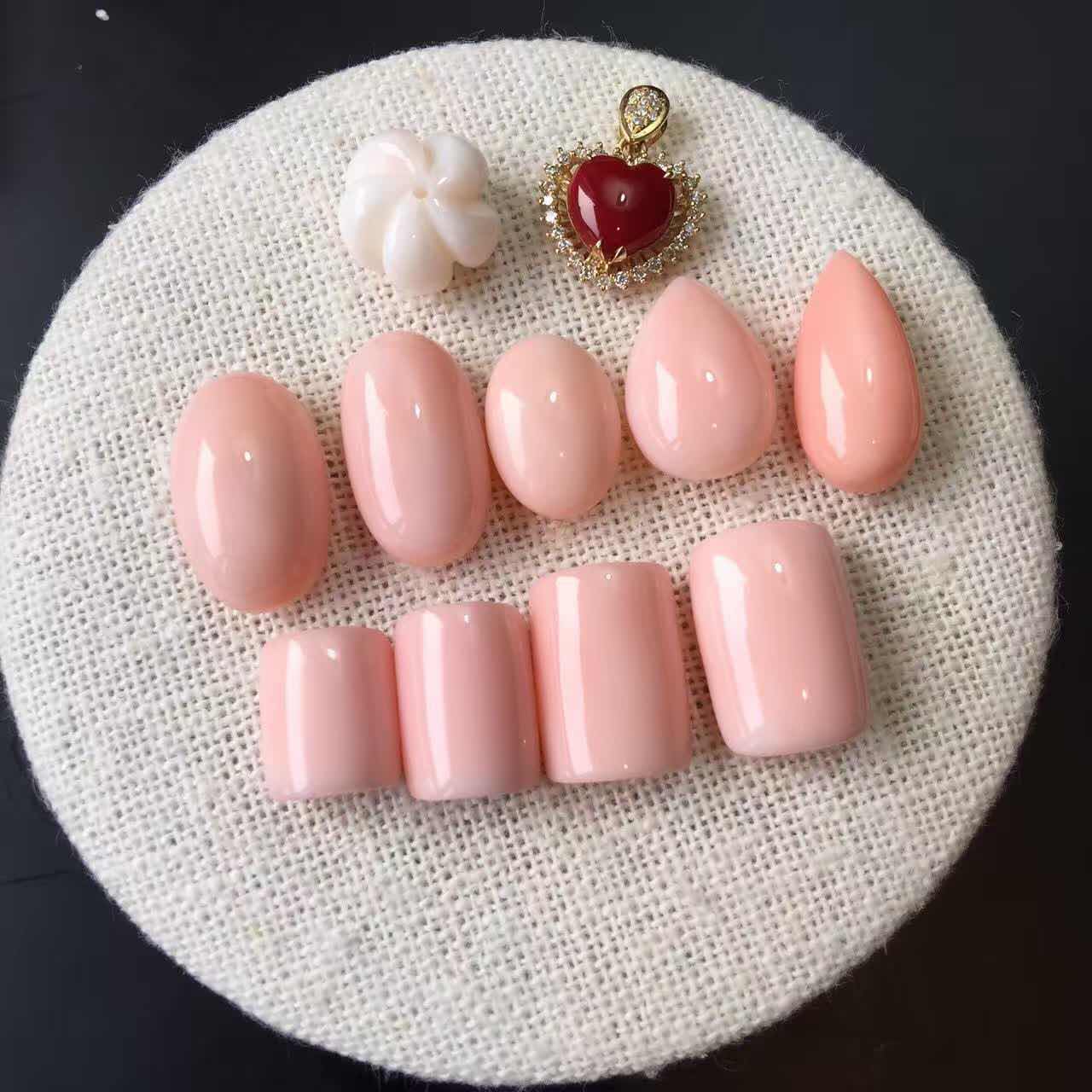 五颜六色的珊瑚美景,欧洲珊瑚之美图片