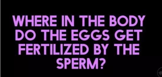 老司机参加考试,老司机考试评判标准