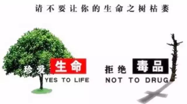 戒断氯硝西泮最好方法,戒断帕罗西汀怎么瘦下来