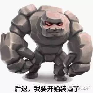 适合学生养的1元宠物,双鱼座适合养什么宠物