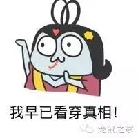 适合学生养的1元宠物,双鱼座适合养什么宠物