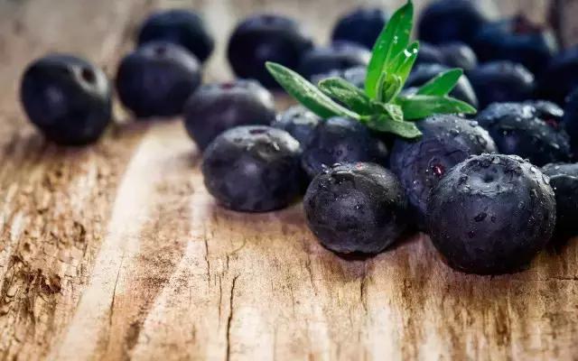 小小蓝莓果成为致富果,蓝莓果喜成增收致富果