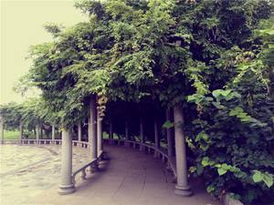 360n4s手机详细测评,360n4s骁龙版评测