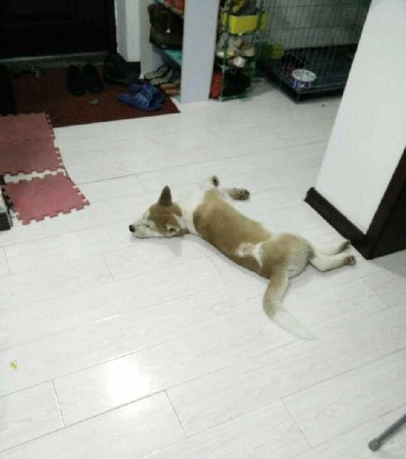 速度不知道快不快！你这网吧高是高，老板