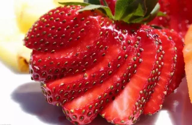 莓类营养价值及功效,野莓的功效及禁忌