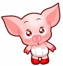 十二生肖财运讲解图解视频,理财十二生肖