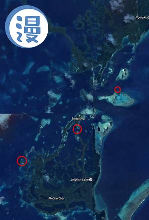 全智贤李敏镐蓝色商场购物,李敏镐全智贤倾情演出