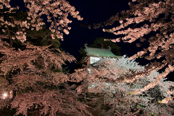 金瑞名城桐城,安徽名城古迹