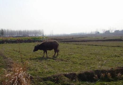 男人外出打工留守妇女真实现状,丈夫外出打工揭露留守女人的悲哀