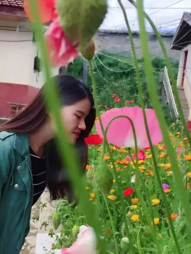 色达红色房子在哪,色达震撼的红房子