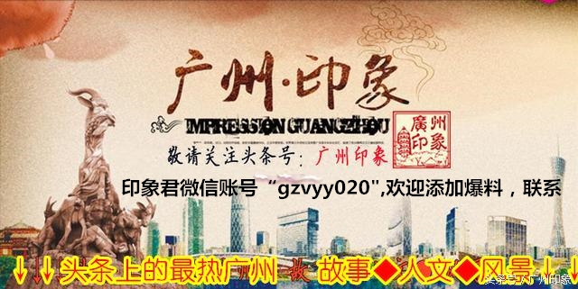 这条鱼让iPhone6s更显灵动,但你知道这是什么鱼吗