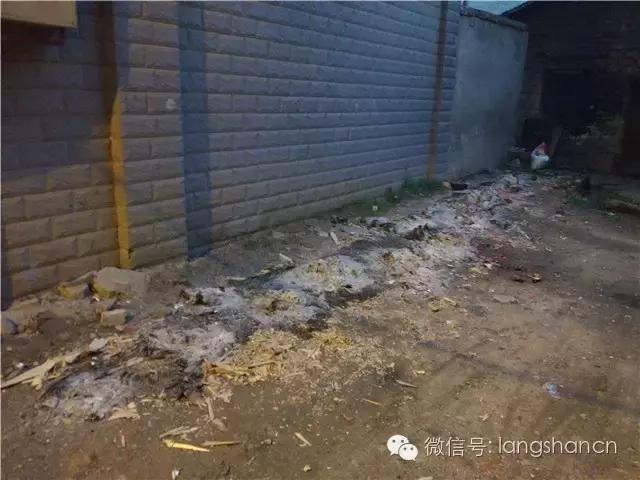 送老客‖中元节留下的残局,谁来为这样的不文明买单?新宁人