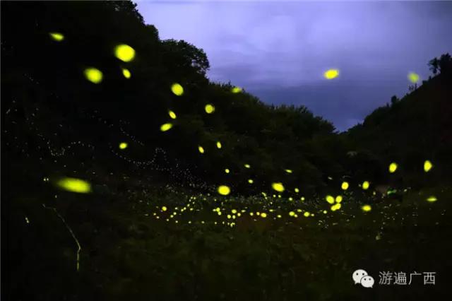 广西乐业出现神秘萤火之光，堪比美国大片！