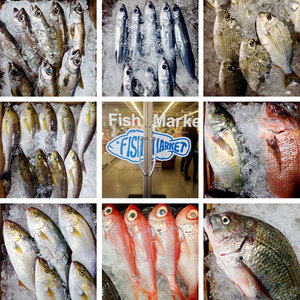 jr大阪一日游,大阪jr旅游攻略