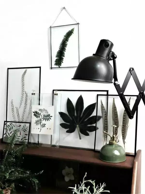 家里再穷也要丢掉的绿植,绿植盆栽都扔了