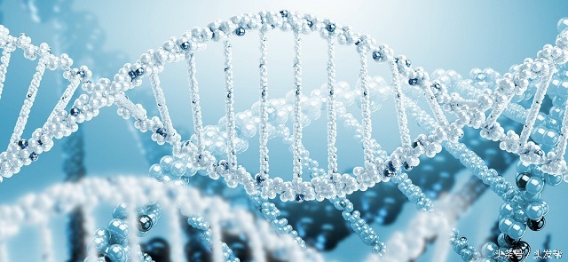 秃顶是什么遗传方式,秃顶是什么原因造成的女生