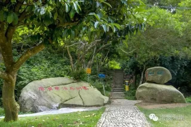 南澳海岛国家森林公园,黄花山------最美天然氧吧