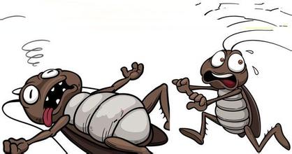 洋葱灭蟑螂最好的办法,洋葱消灭蟑螂最有效的方法