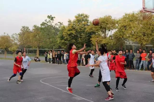 商丘工学院官网,商丘学院管理工程学院