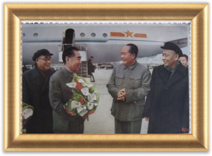 每日一花：马蹄莲总理喜爱的花儿