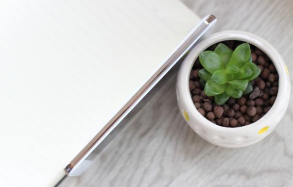 2016年荣耀畅玩5a,800万前置拍照效果怎么样