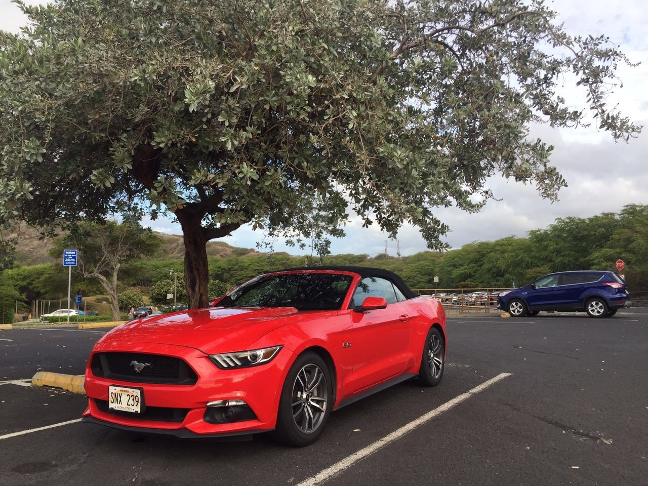 夏威夷旅游要租车吗,夏威夷要租车吗