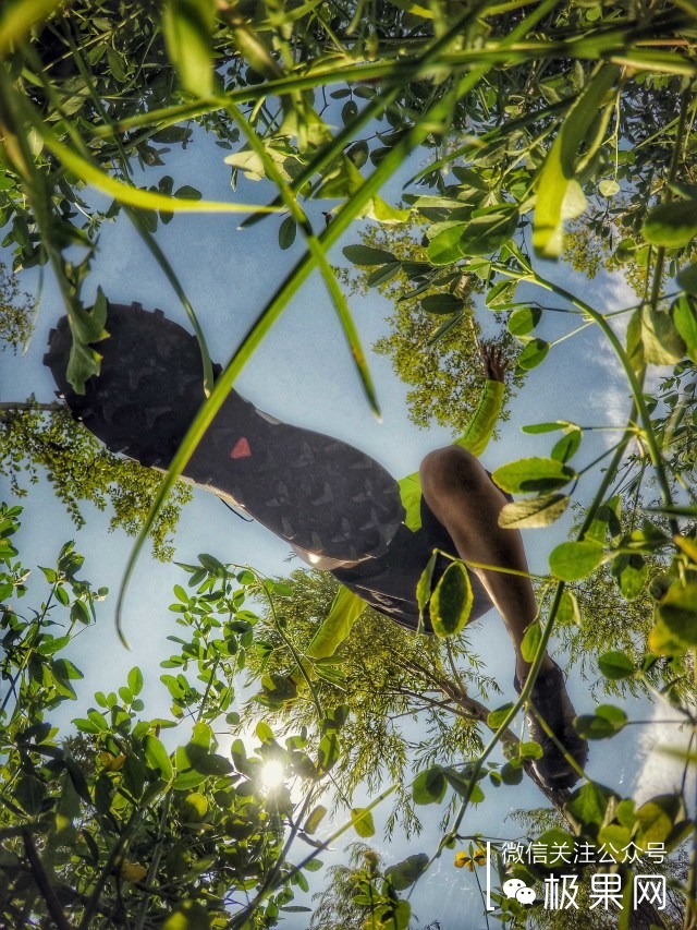 如何选择一双越野跑鞋,越野跑穿的跑鞋