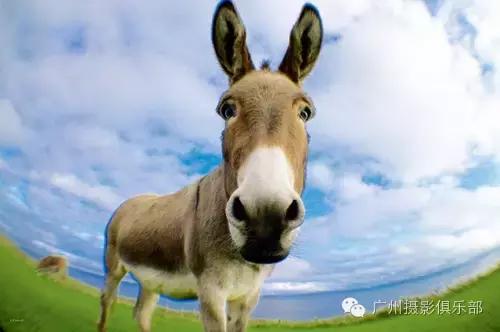 鱼眼镜头拍摄技巧,摄影镜头各种焦距