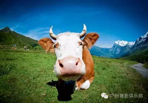 鱼眼镜头拍摄技巧,摄影镜头各种焦距