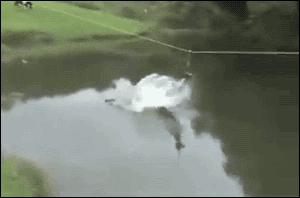 速度不知道快不快！你这网吧高是高，老板