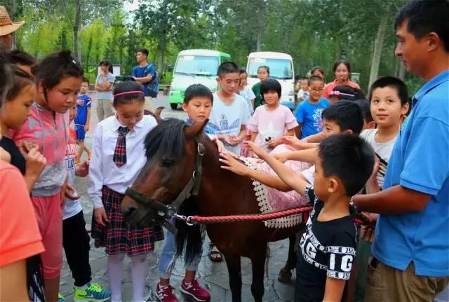 晚上注定是个不平凡的夜晚铃声,这个夜注定要不平凡
