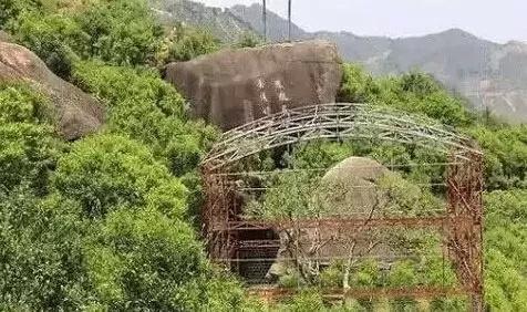 现代中国十大名茶排行榜,中国现代十大名茶排行榜