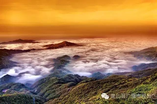 享受大自然的气息天然氧吧,享受大自然呼吸天然氧